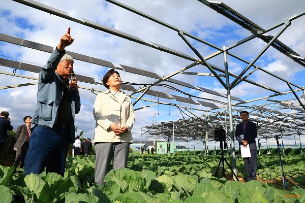 South Korea plans to legislate to promote agricultural photovoltaic projects